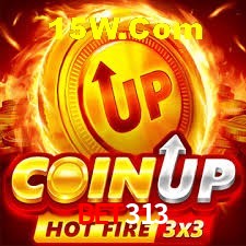 Experiência VIP Bet313