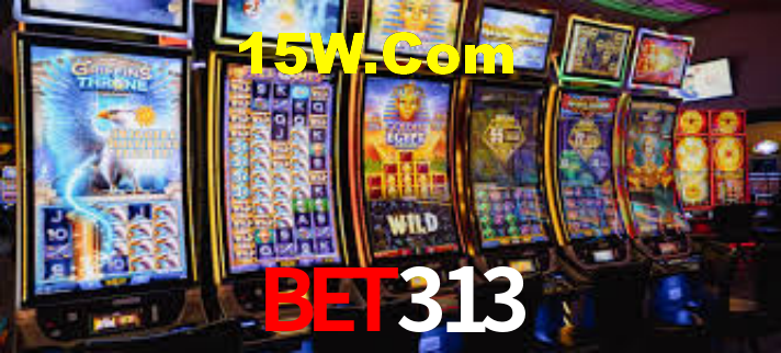 Premium Interface Bet313