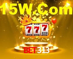 Premium Interface Bet313