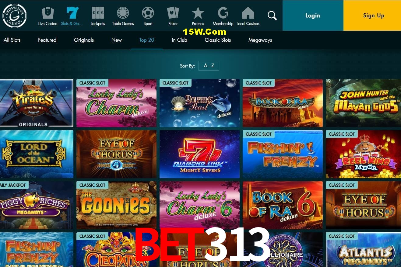 Bonus Features Bet313