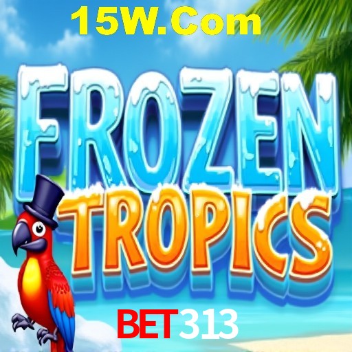 Experiência VIP Bet313