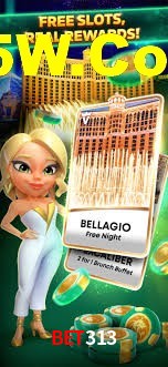 Premium Interface Bet313