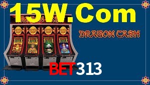 Daily Bonuses Bet313